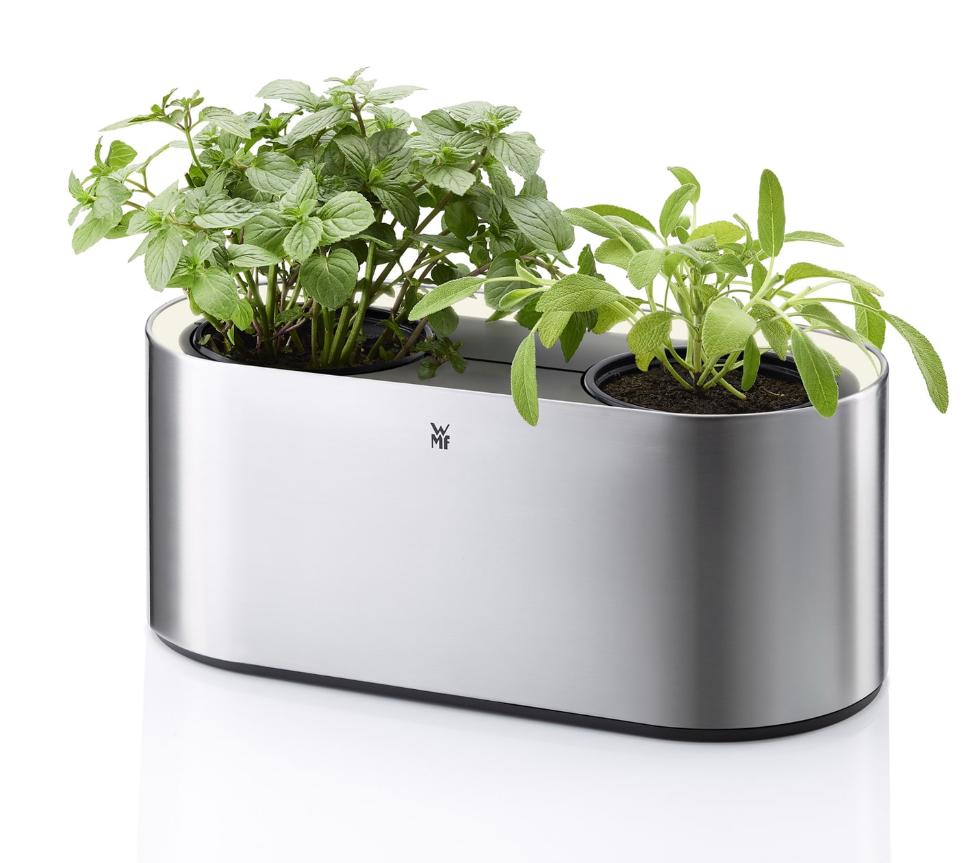 maceta Ambient Herb de WMF