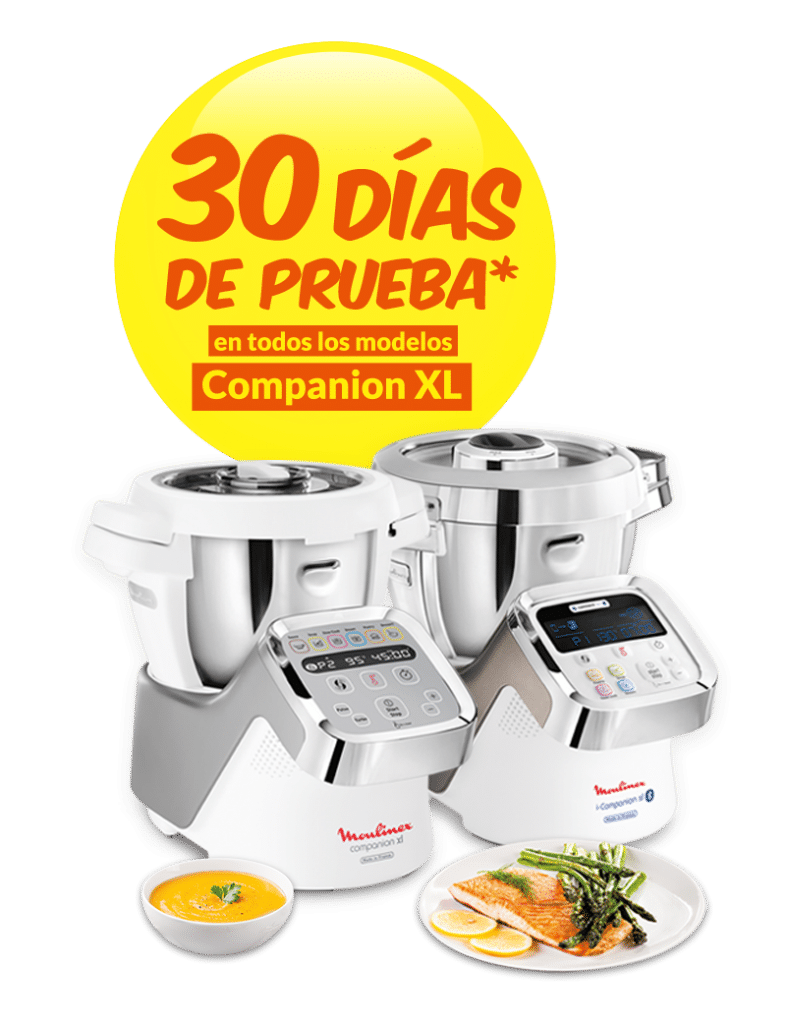 companion xl de moulinex