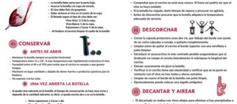 El vino- Infografia