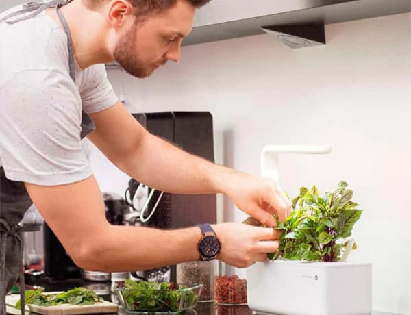 click and go smart garden emsa