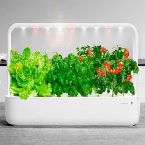 smartgarden emsa grande clickand grow