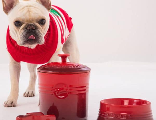 le-creuset-mascotas-portada