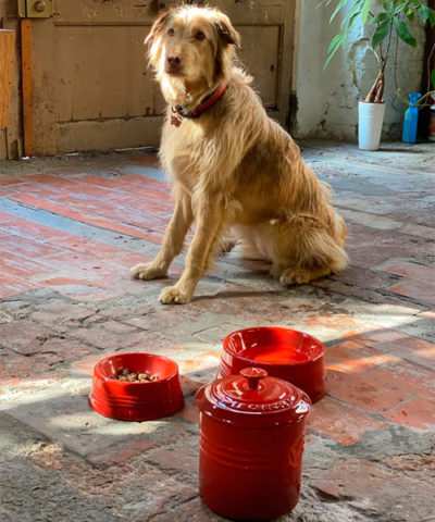 lecreuset bol mascotas3