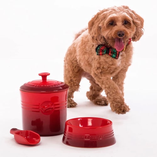 lecreuset mascotas