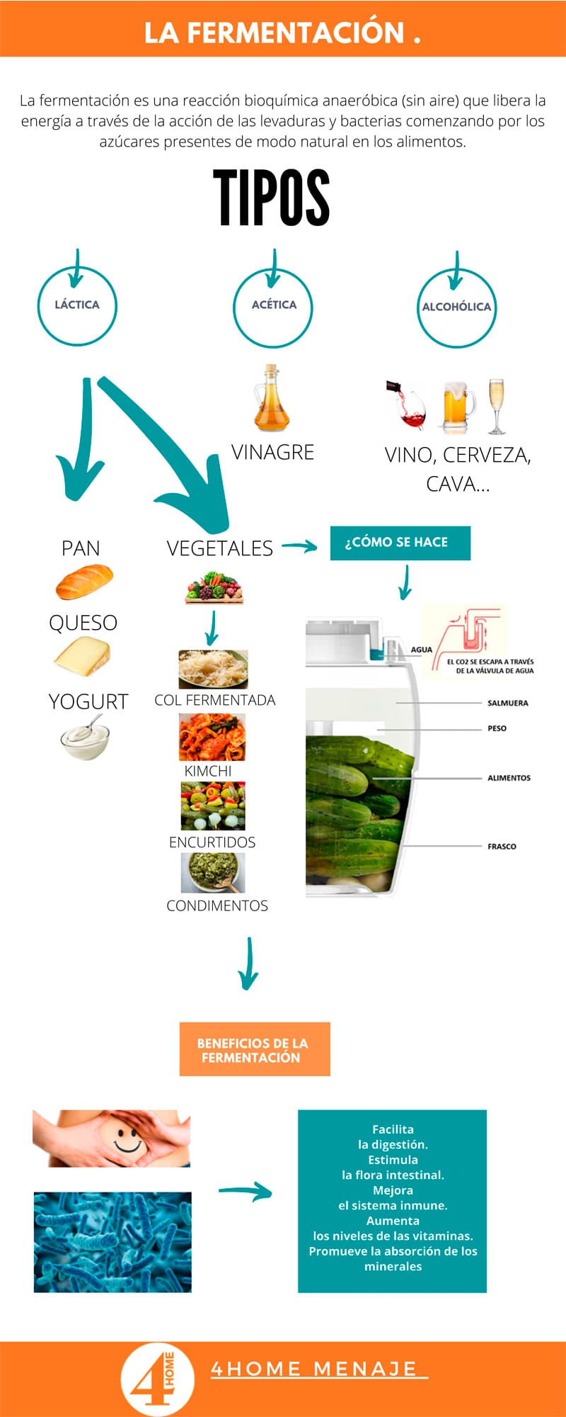 infografia-fermentación-alimentos-fermentados