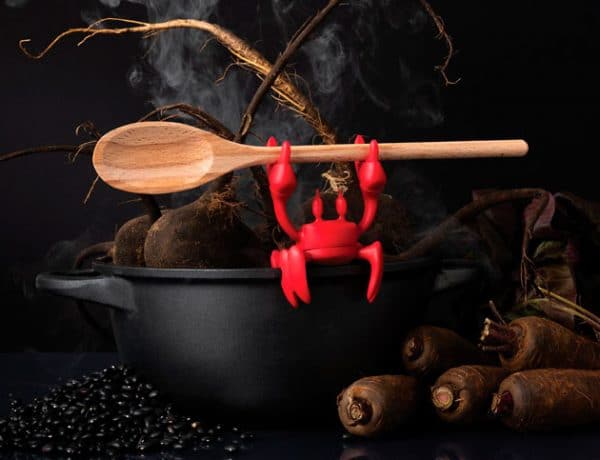 Red-spoon-holder-crab-mom-sept2020-animales-en-el-hogar