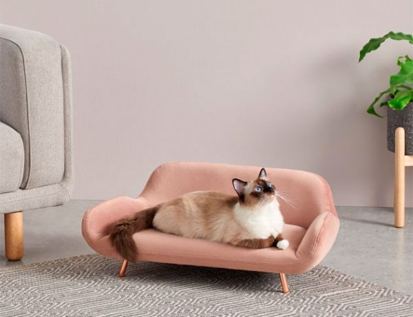 sofa-moby-regalo-para-mascotas