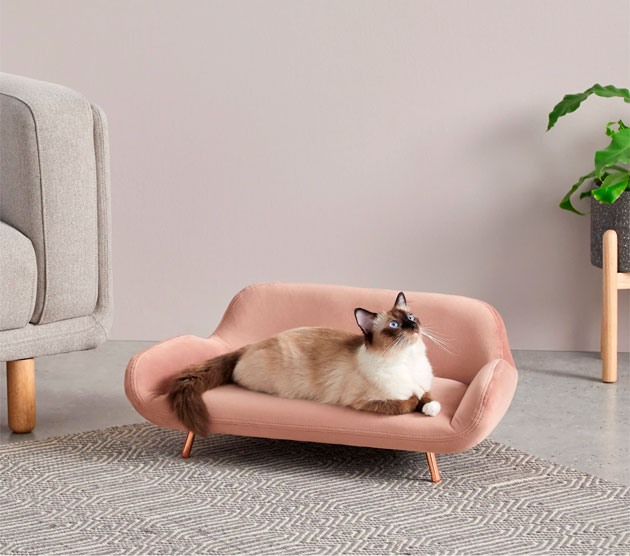 sofa-moby-regalo-para-mascotas