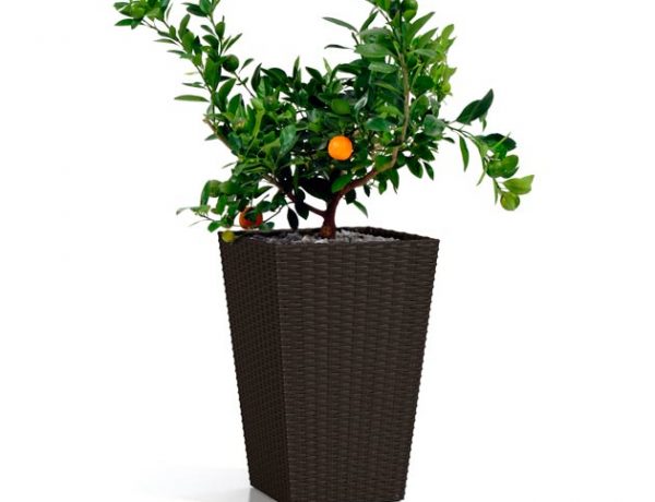 Keter-rattan-planter