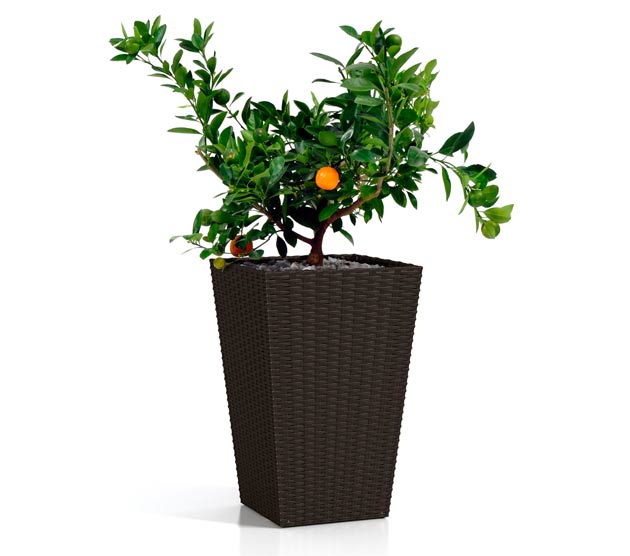 Keter-rattan-planter