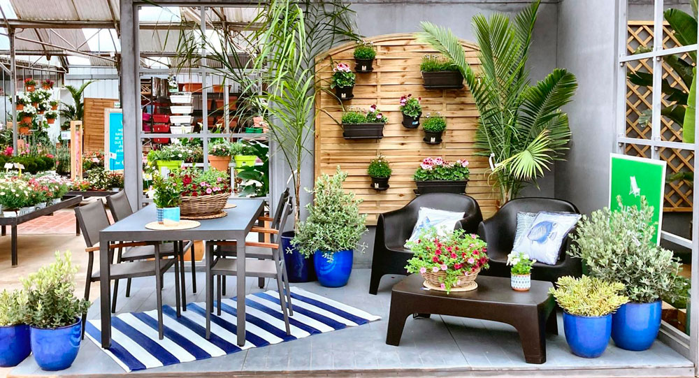 jardinarium-tienda-del-mes-5