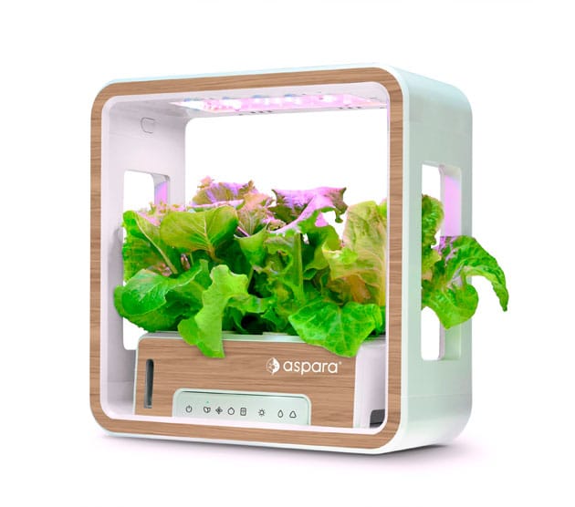 Growgreen-Limited---aspara-Stylist-Lite-Smart-Grower---Art-Series2