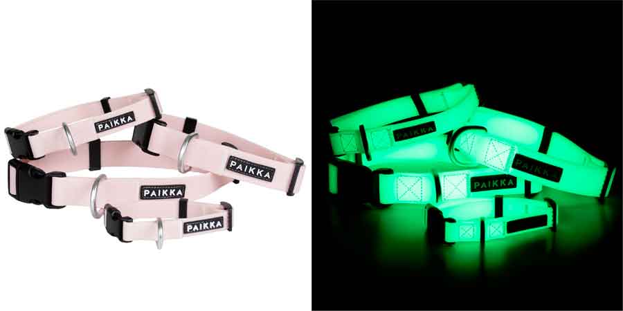 Paikka---PAIKKA-Glow-leash-and-collar-bundle