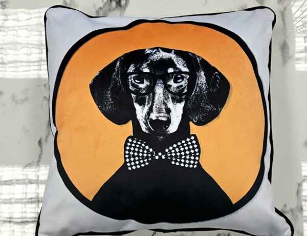 Garpe-cojín-perro-salchicha