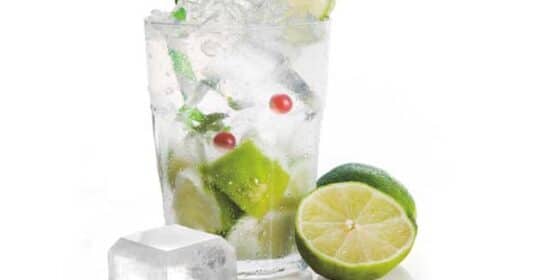 Moldes-de-hielo-IBILI-5portada