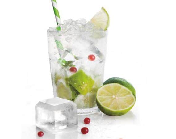 Moldes-de-hielo-IBILI-5portada