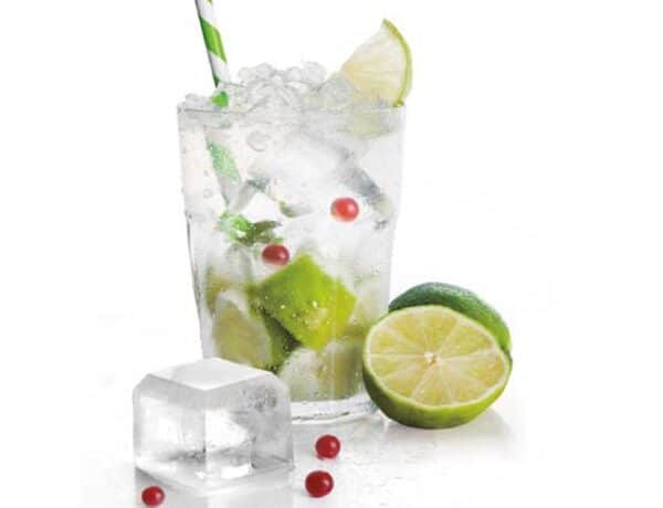 Moldes-de-hielo-IBILI-5portada