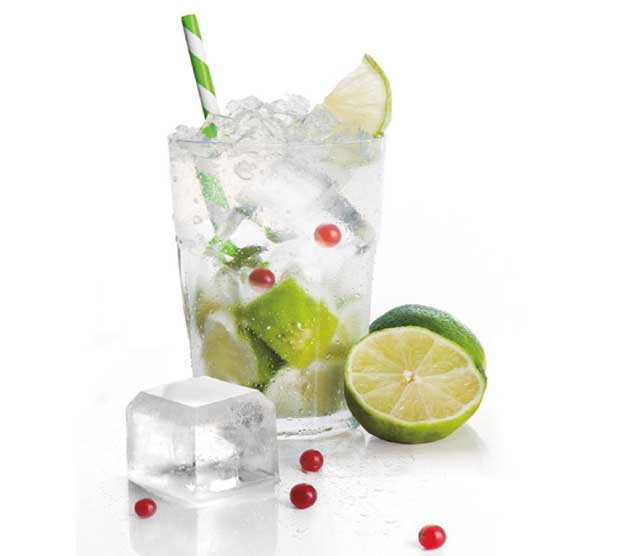 Moldes-de-hielo-IBILI-5portada